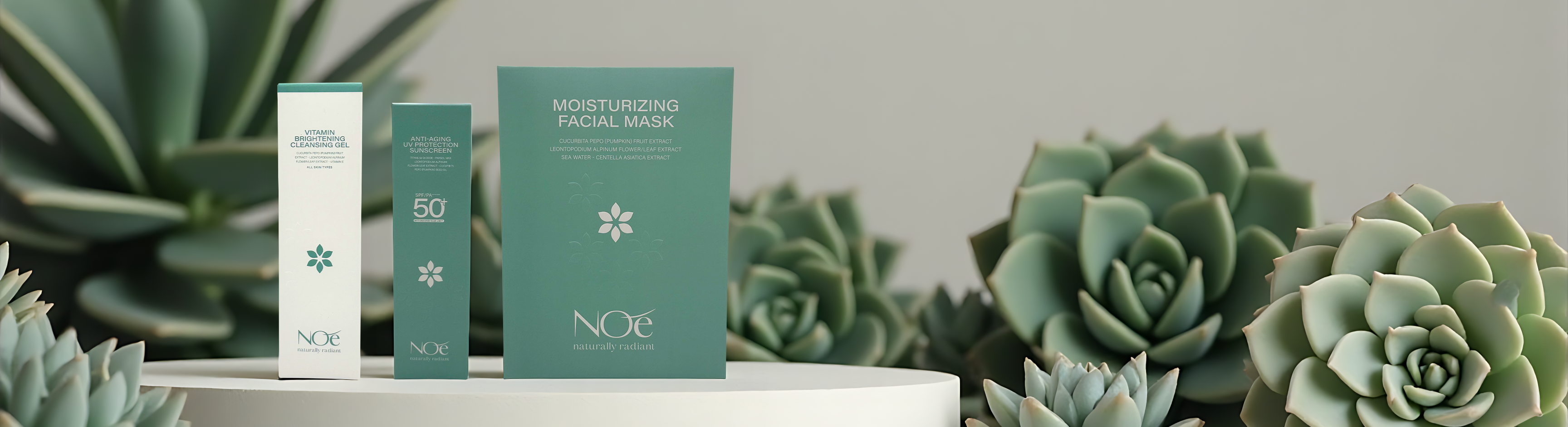 Cận cảnh sản phẩm Noé trong ánh sáng mềm